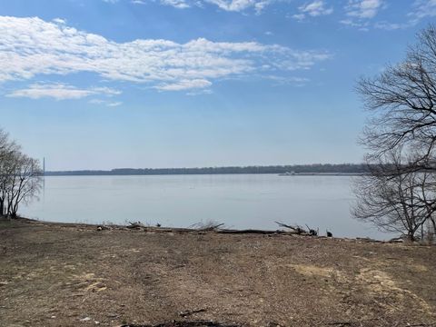 Tiny photo for 3512 Riverview Lake Road, Metropolis, IL 62960 (MLS # 12613111)