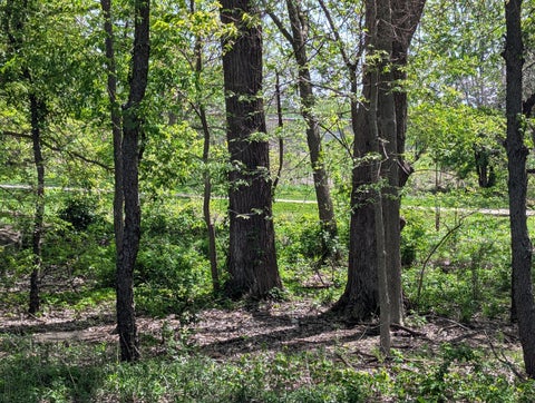 Tiny photo for 2575 Clayton Boulevard #2575, Champaign, IL 61822 (MLS # 12715655)