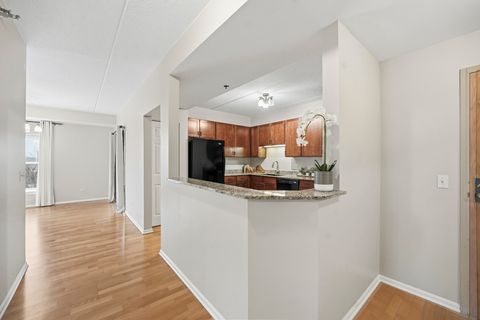 Tiny photo for 410 W Mahogany Court #509, Palatine, IL 60067 (MLS # 12589458)