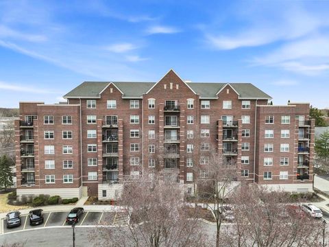 Tiny photo for 410 W Mahogany Court #509, Palatine, IL 60067 (MLS # 12589458)