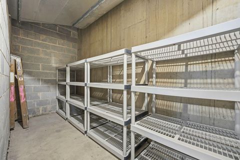 Tiny photo for 410 W Mahogany Court #509, Palatine, IL 60067 (MLS # 12589458)