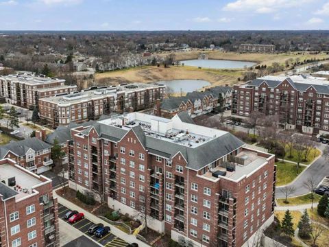 Tiny photo for 410 W Mahogany Court #509, Palatine, IL 60067 (MLS # 12589458)