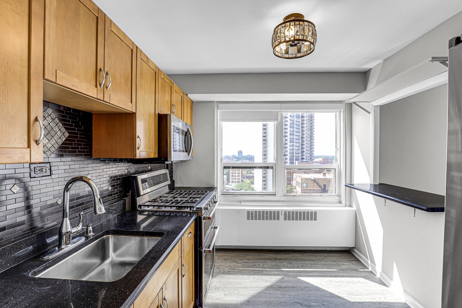3950 N Lake Shore Drive 1219D