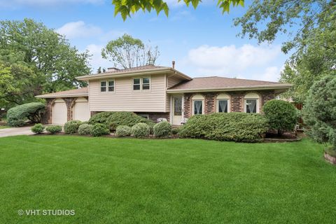 253 Waxwing Avenue Naperville IL 60565