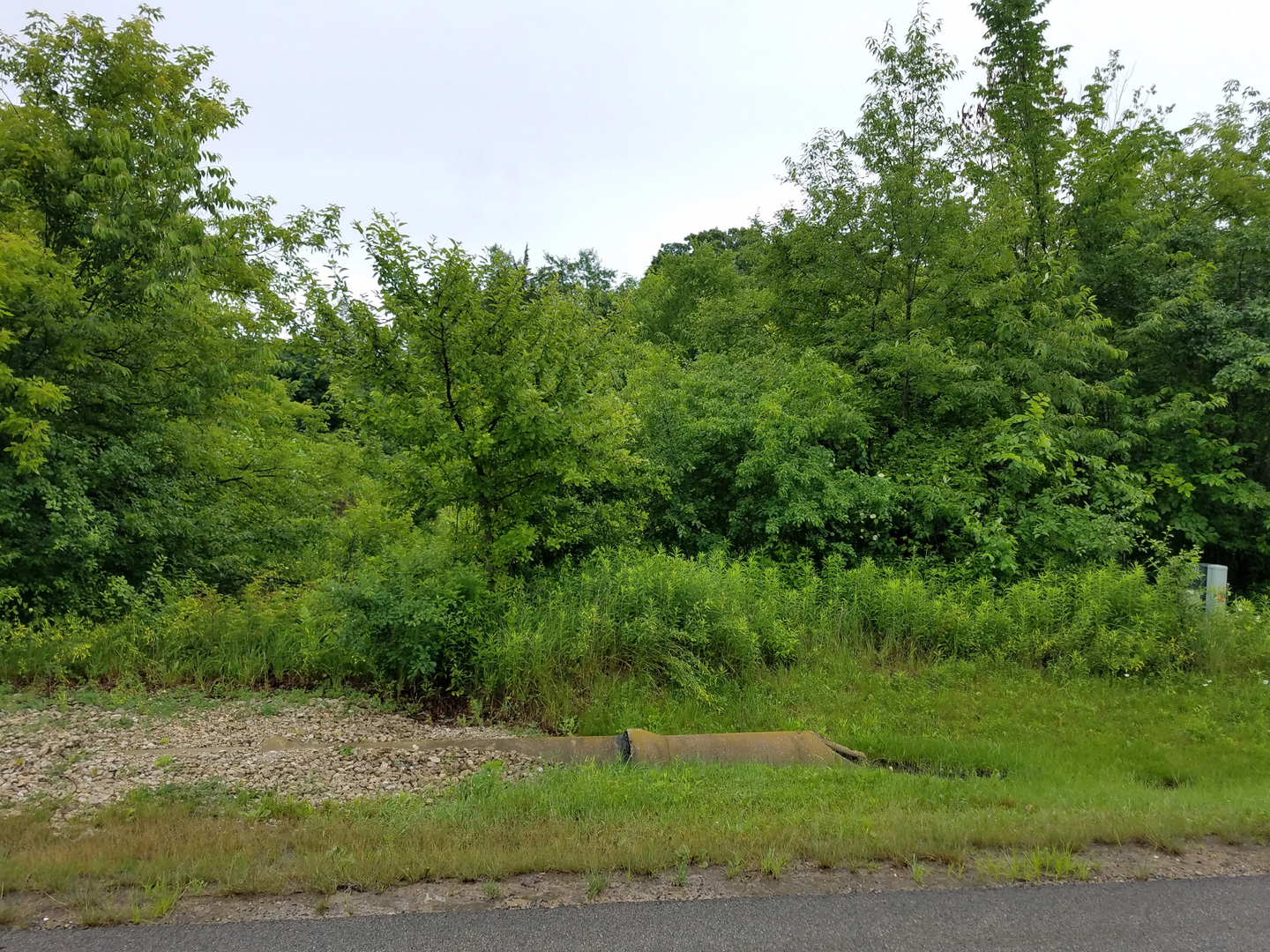 LOT 7 Orchard Bluff Lane