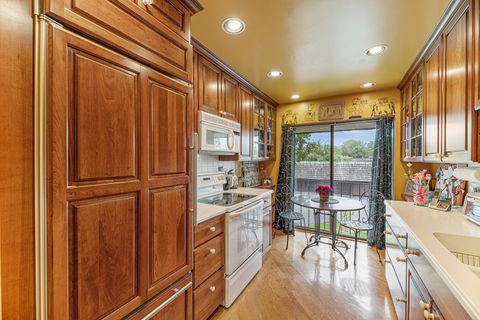 Tiny photo for 1721 Northfield Square #C, Northfield, IL 60093 (MLS # 12507452)