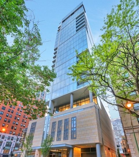 4 E Elm Street 20N Chicago IL 60611