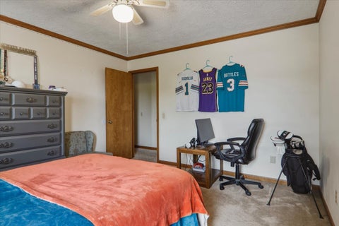 Tiny photo for 302 Ceilo View Street, Colfax, IL 61728 (MLS # 12715899)