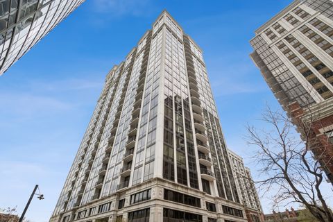 233 E 13TH Street 2002 Chicago IL 60605