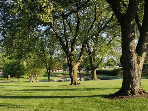 Tiny photo for 23 N Tower Road N, Oak Brook, IL 60523 (MLS # 12629879)