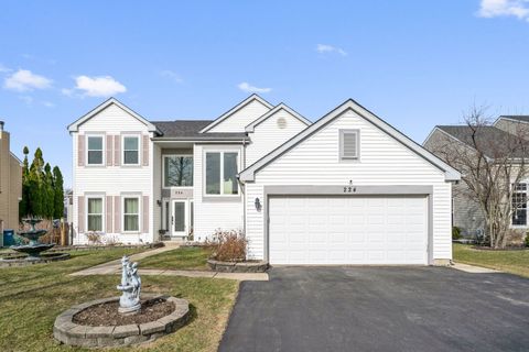 224 Cedarfield Drive Bartlett IL 60103