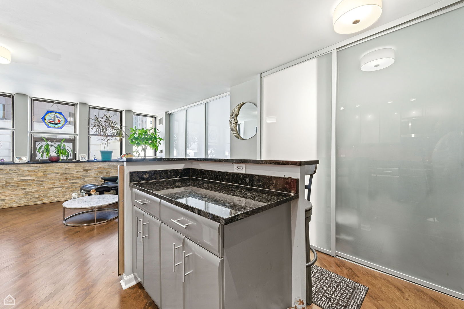 100 E Walton Place 10C