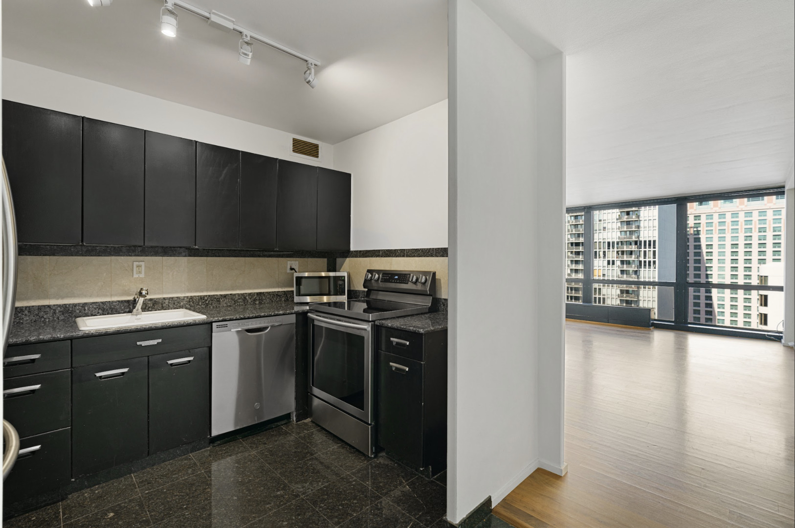 910 N LAKE SHORE Drive 2418