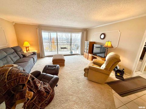 Tiny photo for 3721 35TH Street #4, Moline, IL 61265 (MLS # QC4269648)