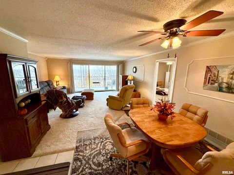 Tiny photo for 3721 35TH Street #4, Moline, IL 61265 (MLS # QC4269648)