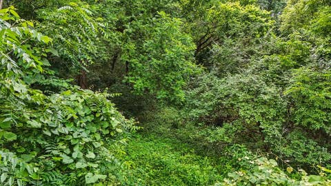 Tiny photo for 588 B County Road 2400 N, Dewey, IL 61840 (MLS # 12651404)