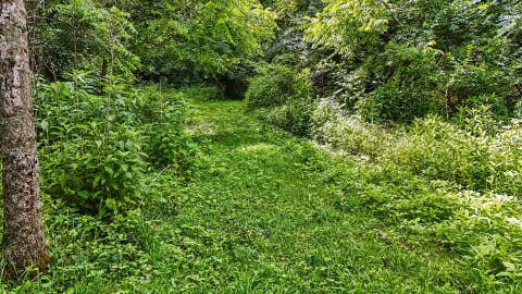 Tiny photo for 588 B County Road 2400 N, Dewey, IL 61840 (MLS # 12651404)