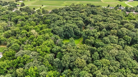 Tiny photo for 588 B County Road 2400 N, Dewey, IL 61840 (MLS # 12651404)
