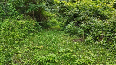 Tiny photo for 588 B County Road 2400 N, Dewey, IL 61840 (MLS # 12651404)