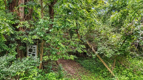 Tiny photo for 588 B County Road 2400 N, Dewey, IL 61840 (MLS # 12651404)