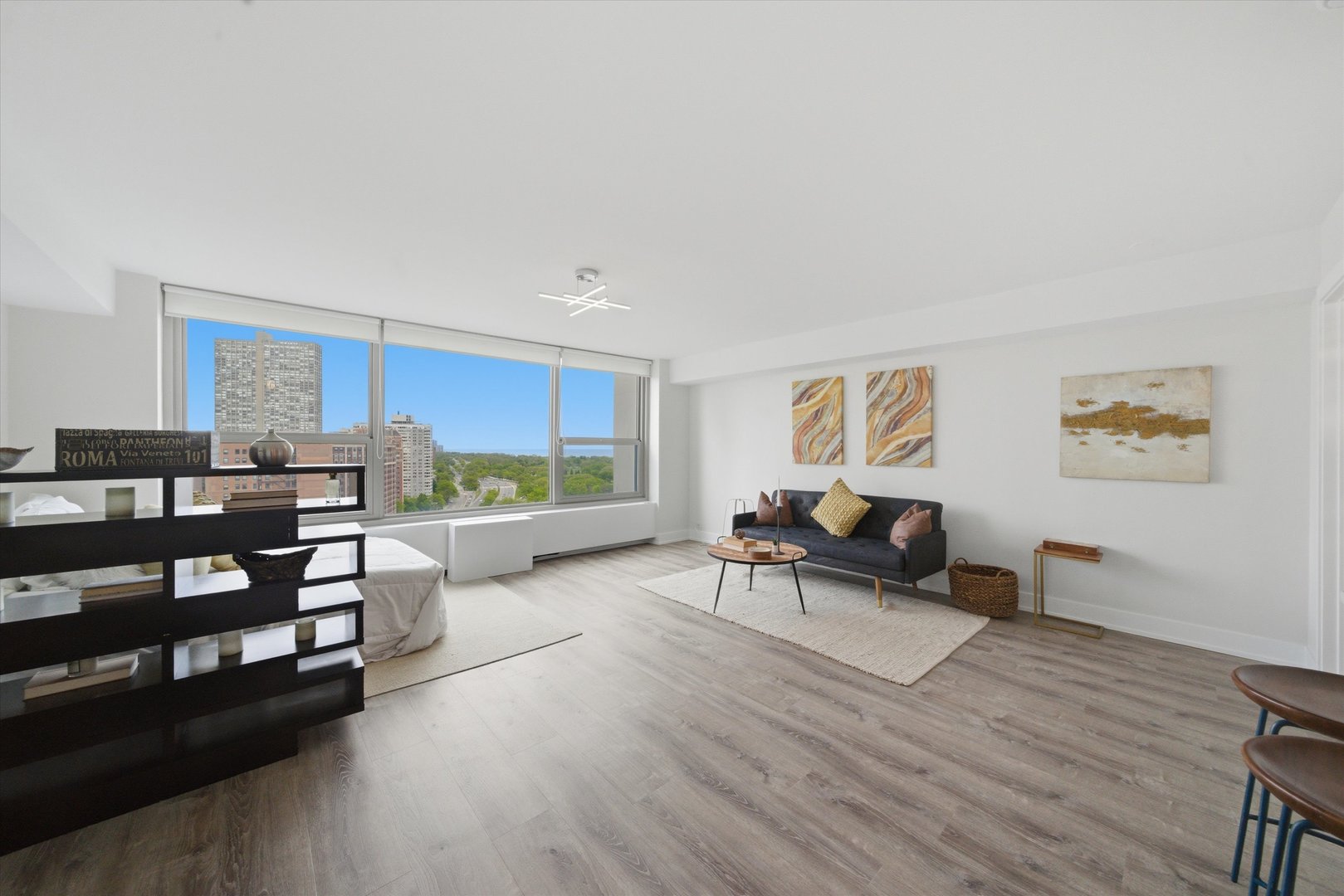 3600 N Lake Shore Drive 1816