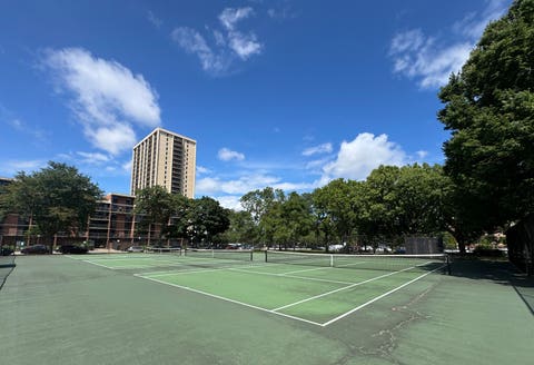 Tiny photo for 2921 S Michigan Avenue #109, Chicago, IL 60616 (MLS # 12736347)
