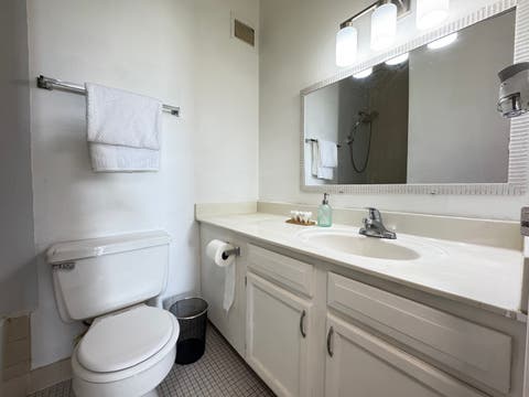 Tiny photo for 2921 S Michigan Avenue #109, Chicago, IL 60616 (MLS # 12736347)