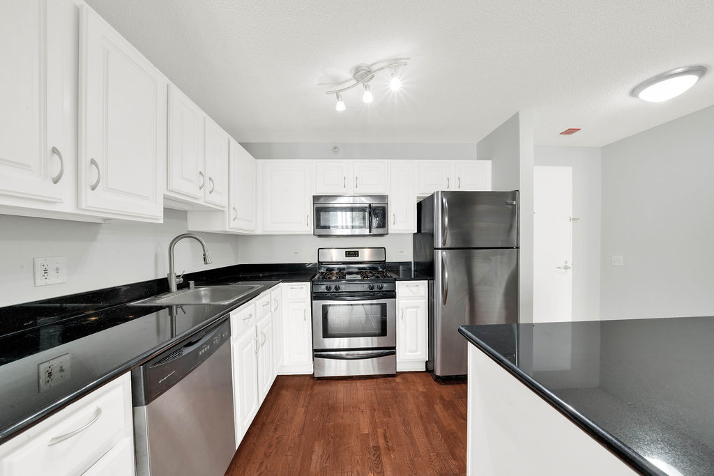 545 N Dearborn Street 1203