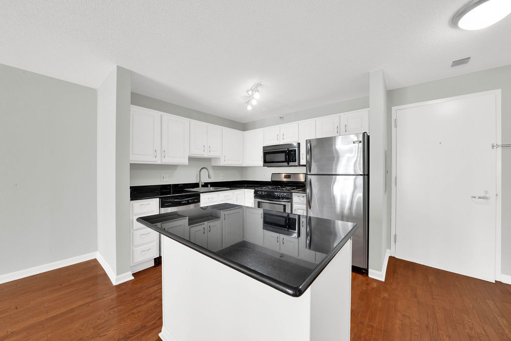 545 N Dearborn Street 1203