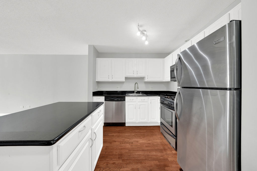 545 N Dearborn Street 1203