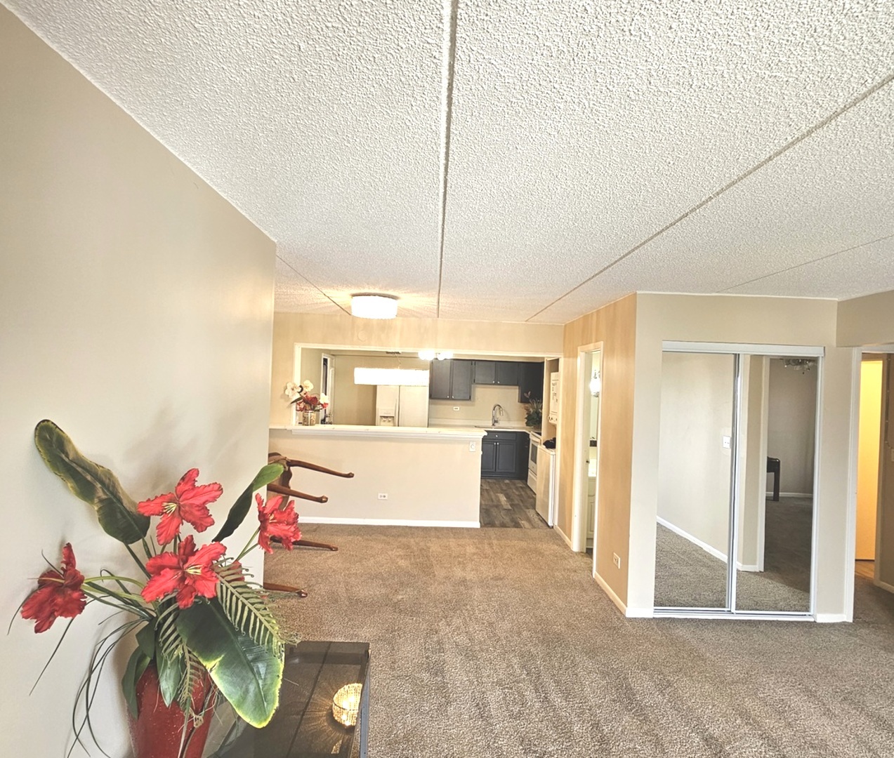 943 N ROHLWING Road 101H