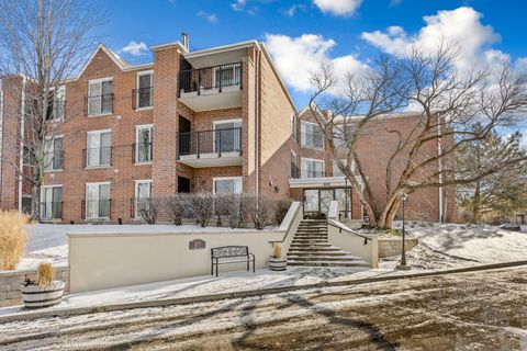 A home in Elk Grove Village