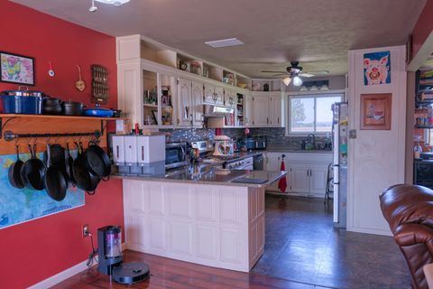 Tiny photo for 3992 Neunert Road, Jacob, IL 62950 (MLS # 12616888)