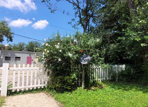 Tiny photo for 312 W White Street, Champaign, IL 61820 (MLS # 12686060)
