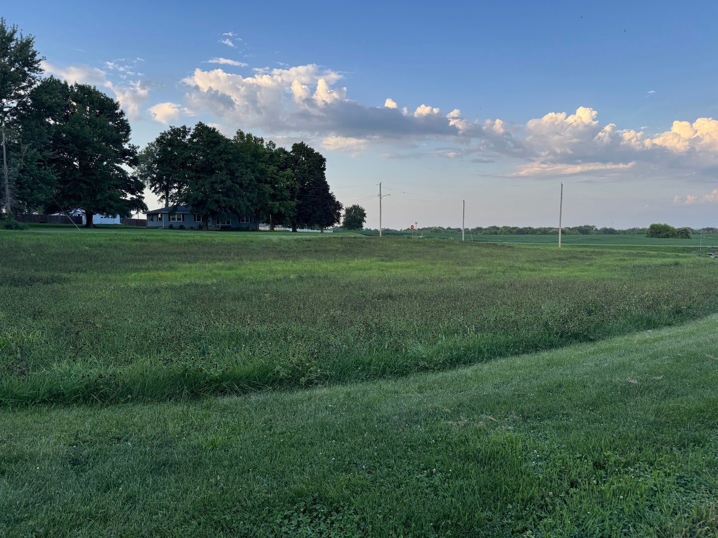 409 N Main (Lot Only) Street