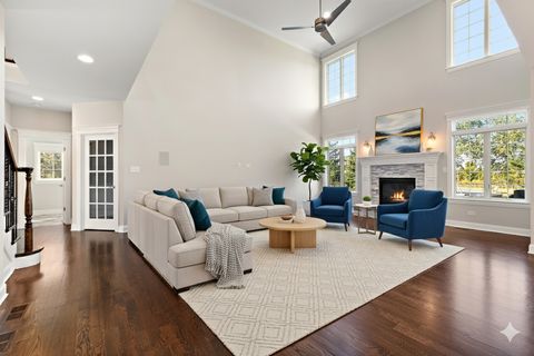 Tiny photo for 22018 Mary Drive, Frankfort, IL 60423 (MLS # 12479040)