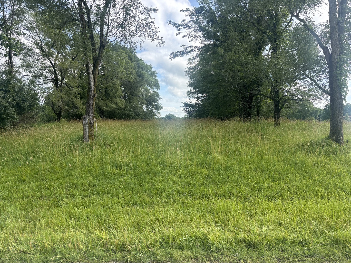 1185 Lake Wildwood Drive