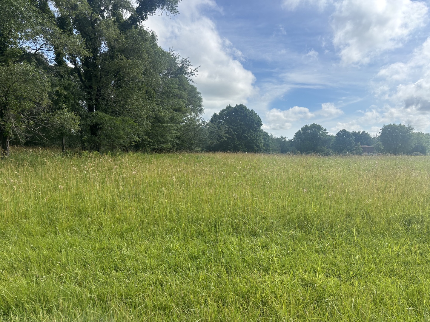 1185 Lake Wildwood Drive