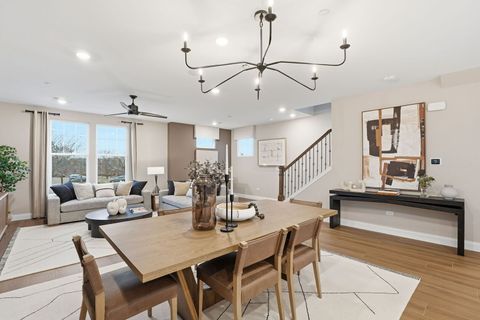 Tiny photo for 205 Steeple Bush Lane #10444, Schaumburg, IL 60193 (MLS # 12554738)