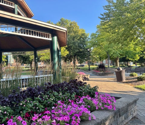 Tiny photo for 1445 N Driftwood Avenue, Palatine, IL 60067 (MLS # 12720953)