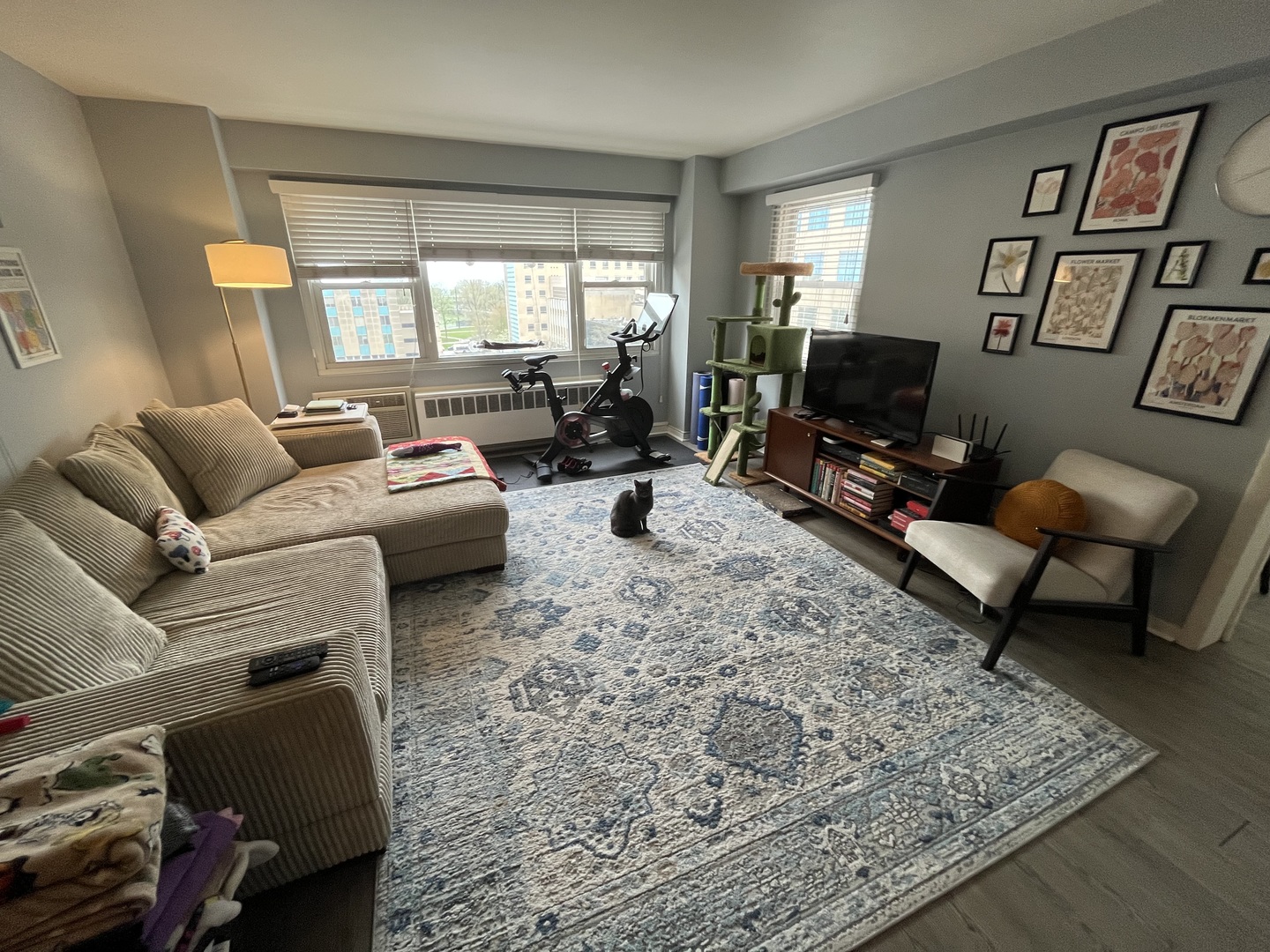 2909 N Sheridan Road 809