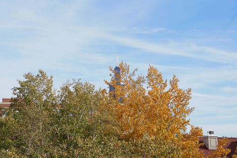 Tiny photo for 1330 W Monroe Street #310, Chicago, IL 60607 (MLS # 12510861)