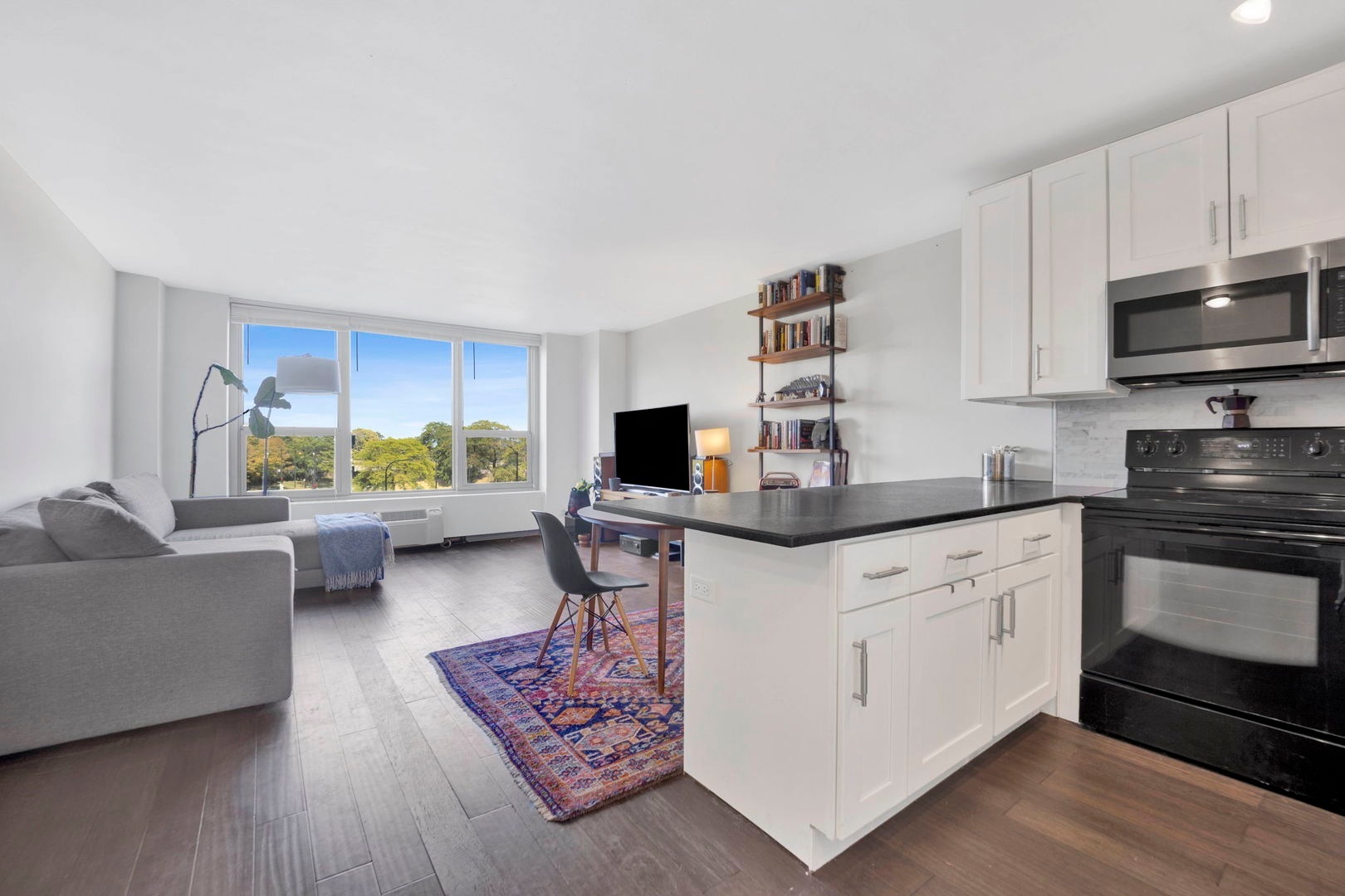 1550 N Lake Shore Drive 3C