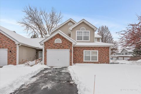 Photo of 1431 Essex Street, Algonquin, IL 60102 (MLS # 12512310)