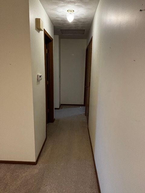 Tiny photo for 4704 9th Street #2, East Moline, IL 61244 (MLS # 100000333)