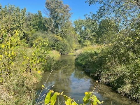 Tiny photo for 8N465 Shady Lane, Elgin, IL 60124 (MLS # 12483029)