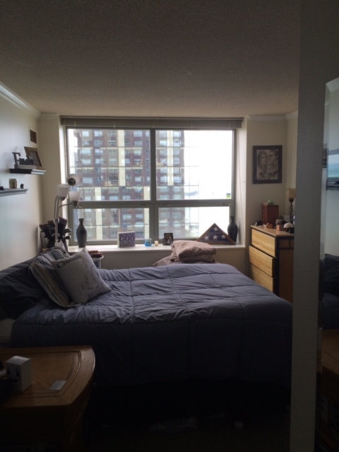 474 N LAKE SHORE Drive 4203