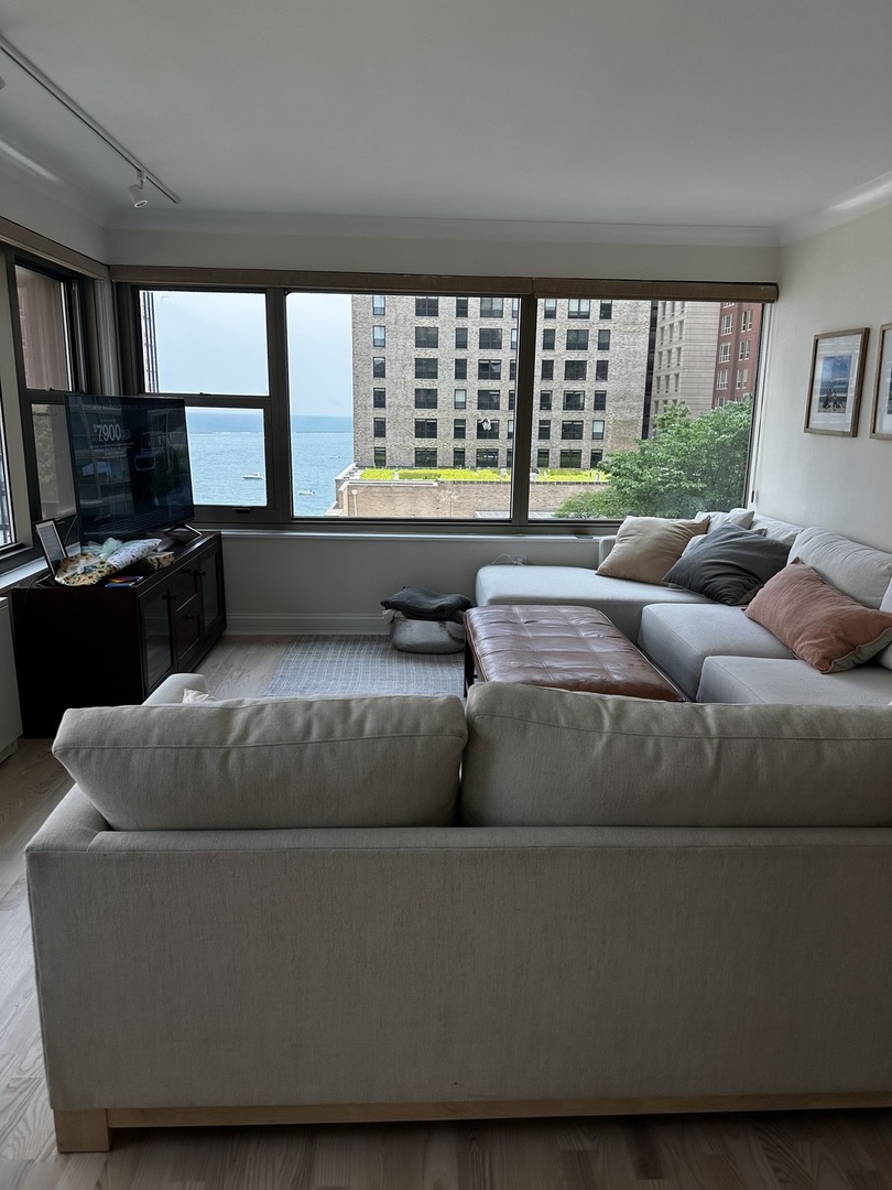 247 E CHESTNUT Street 1201