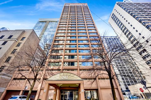 247 E CHESTNUT Street 1201 Chicago IL 60611