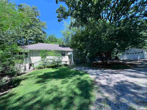 Tiny photo for 1312 W SYCAMORE Street, Carbondale, IL 62901 (MLS # EB458119)